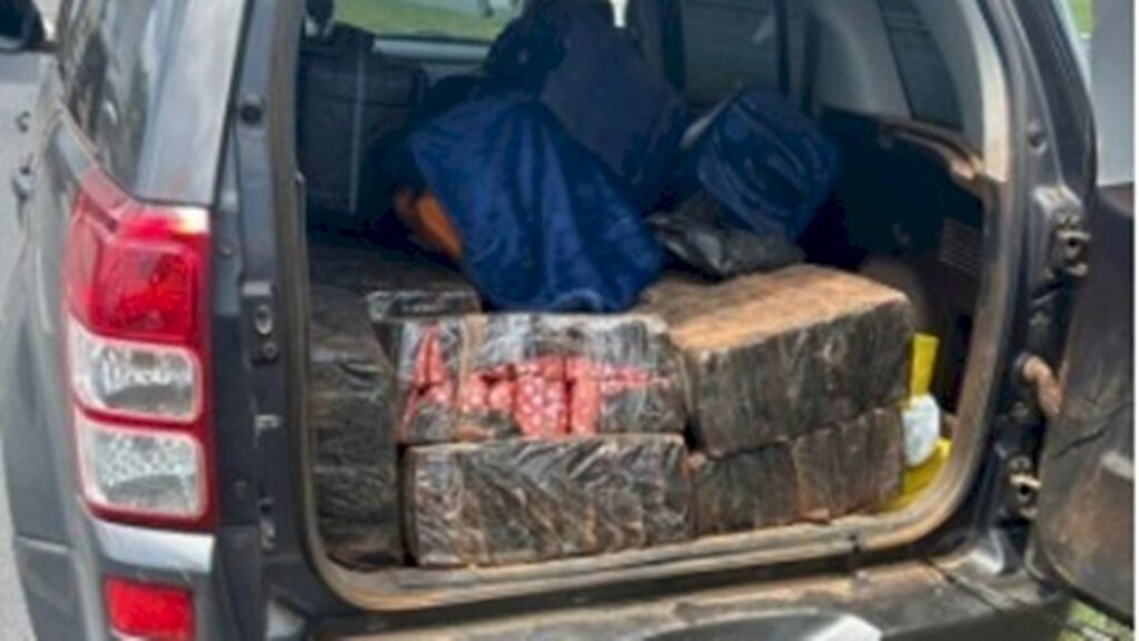 Polícia apreende quase meia tonelada de maconha em Joinville